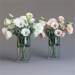 Eustoma